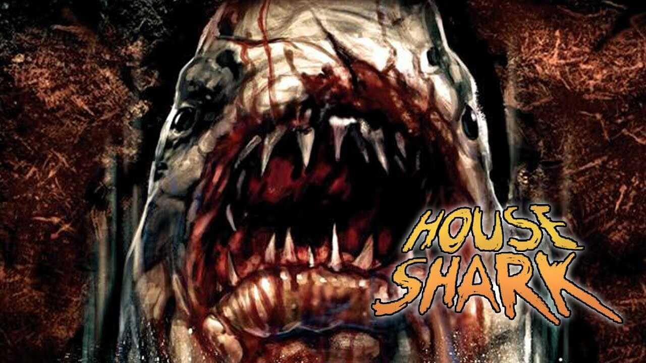 House Shark 0