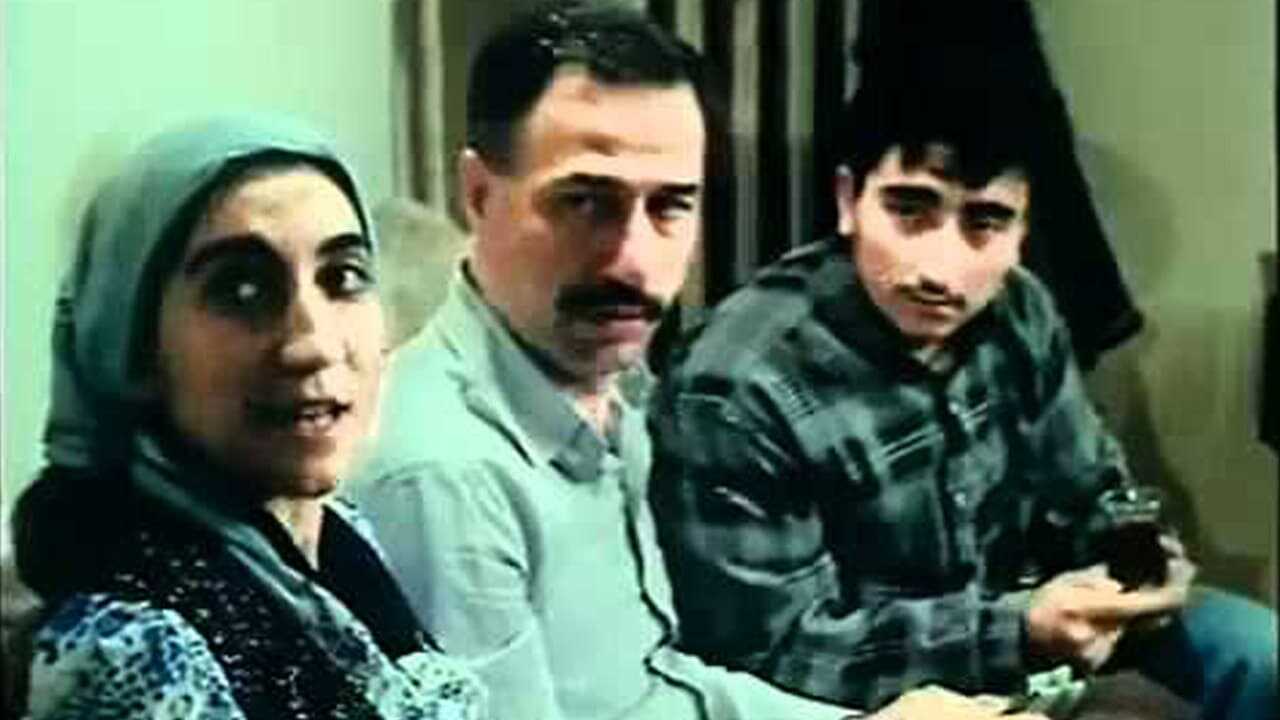 Boynu Bükük Küheylan 0