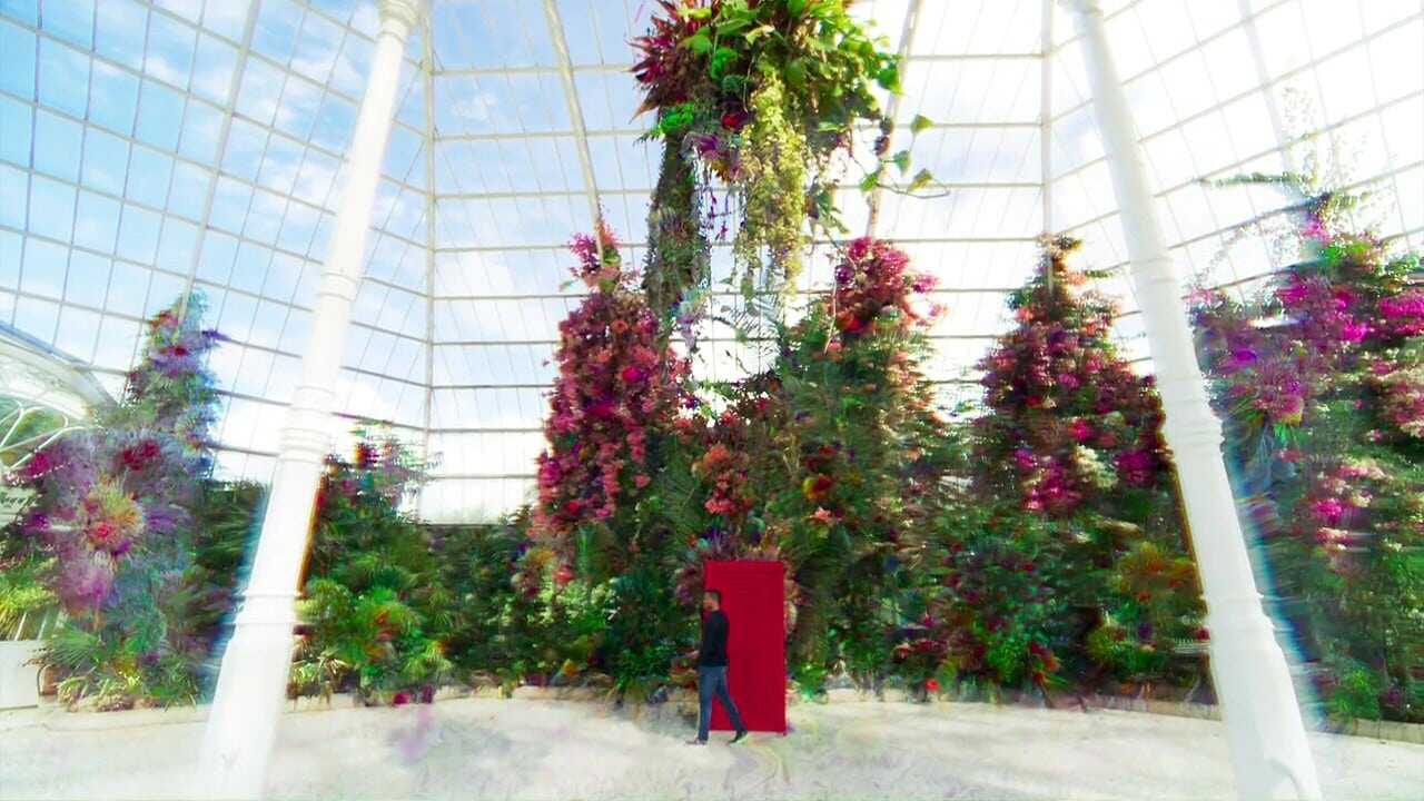 In the Cloud 0