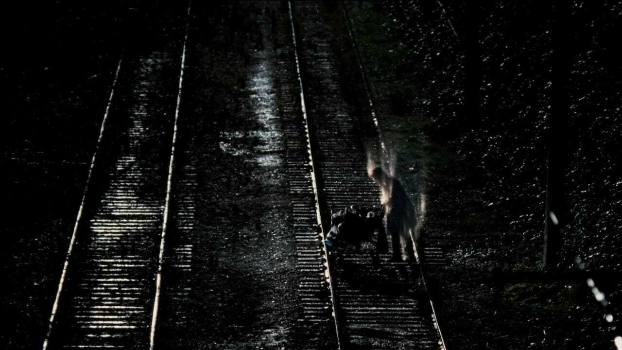 White Noise 2: The Light 0