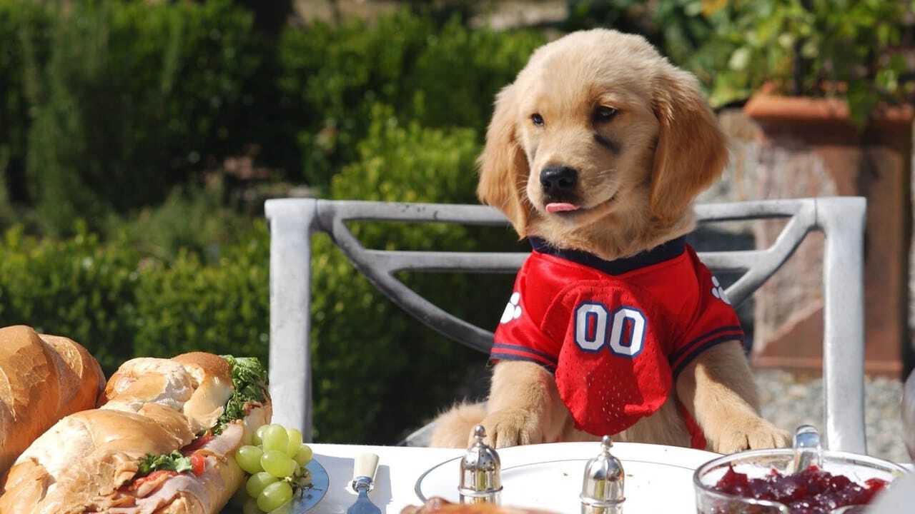 Air Buddies 0