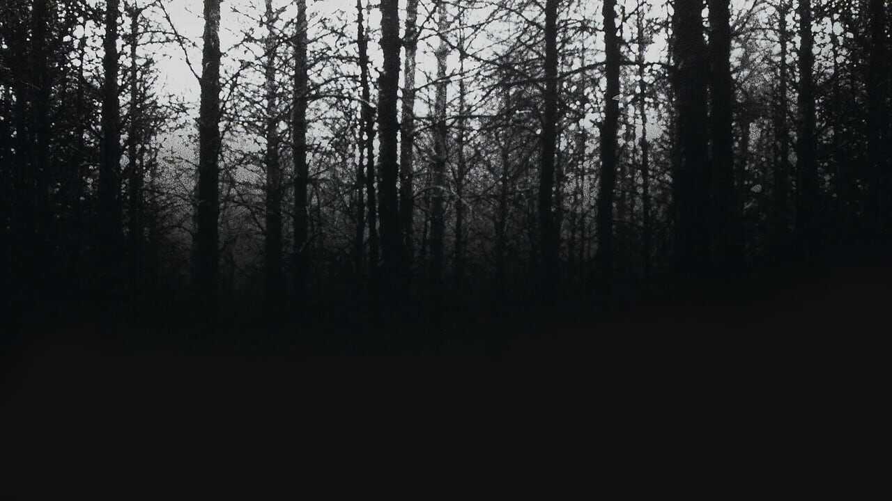 The Blair Witch Project 0