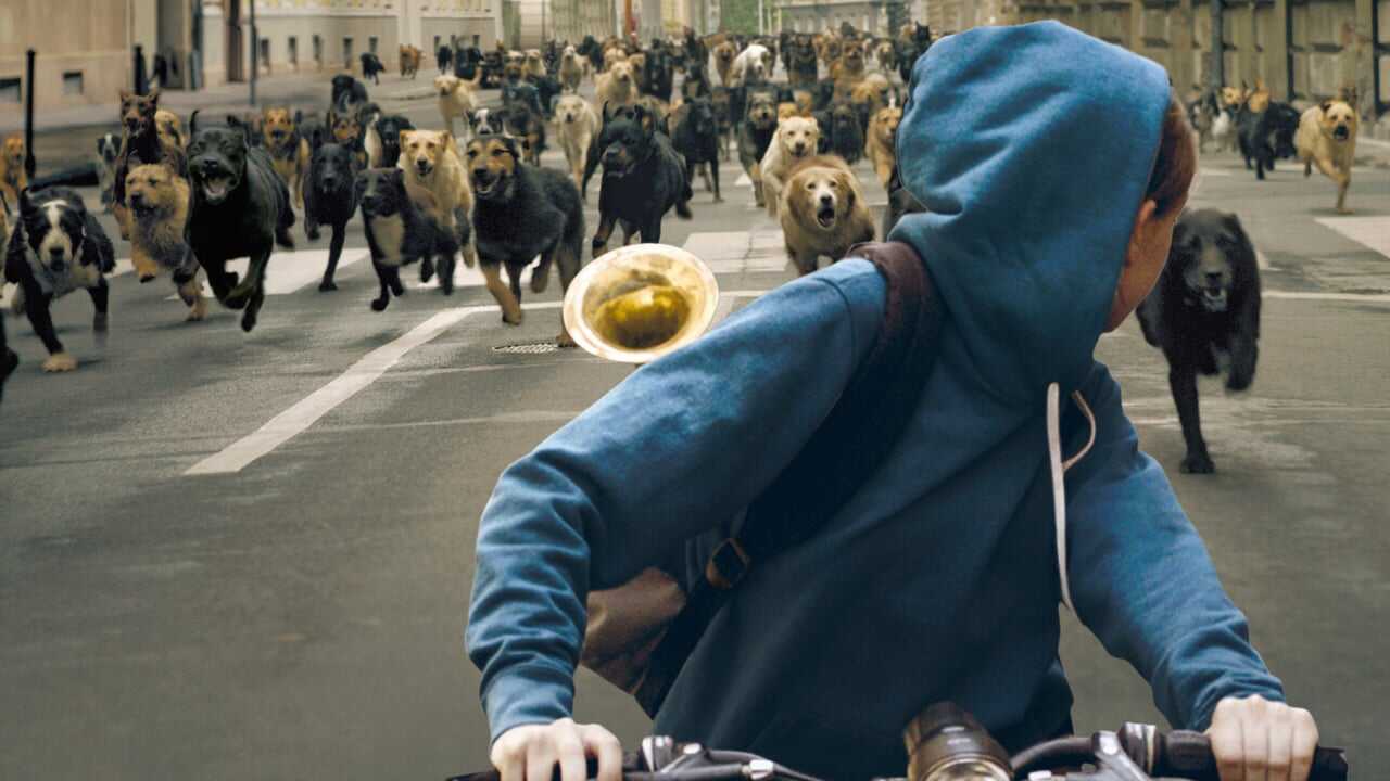 Fehér Isten 0