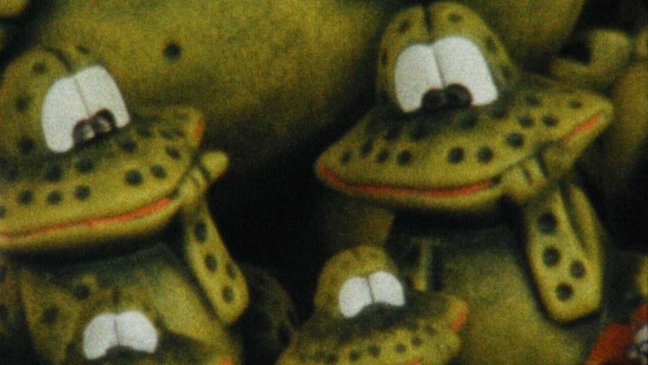Balada de um Batráquio 0