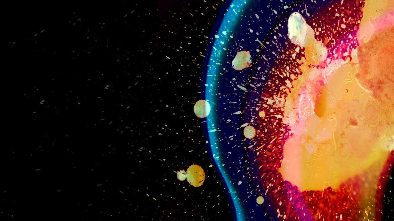 Radiohead: In Rainbows – From the Basement 0