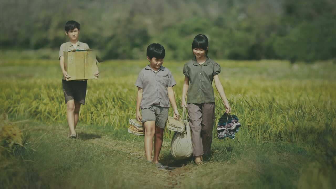 Tôi Thấy Hoa Vàng Trên Cỏ Xanh 0