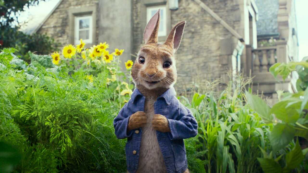 Peter Rabbit 0