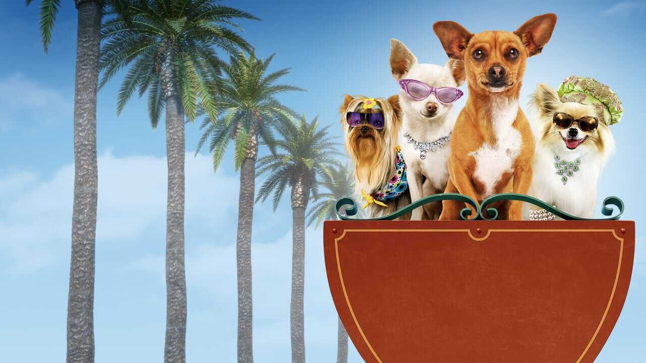 Beverly Hills Chihuahua 0