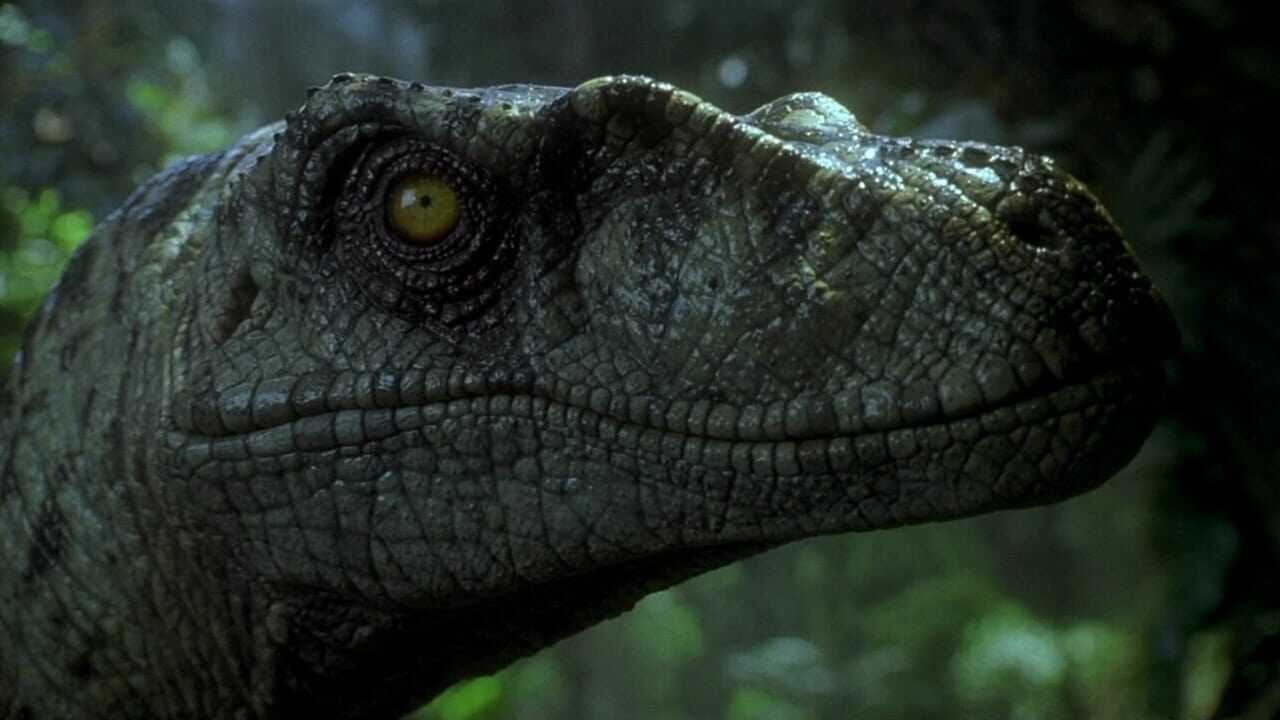 The Lost World: Jurassic Park 0
