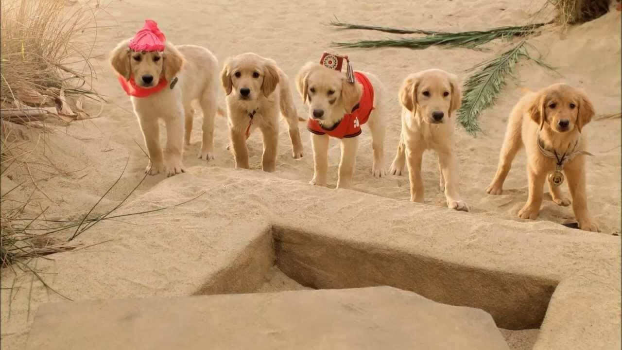 Treasure Buddies 0