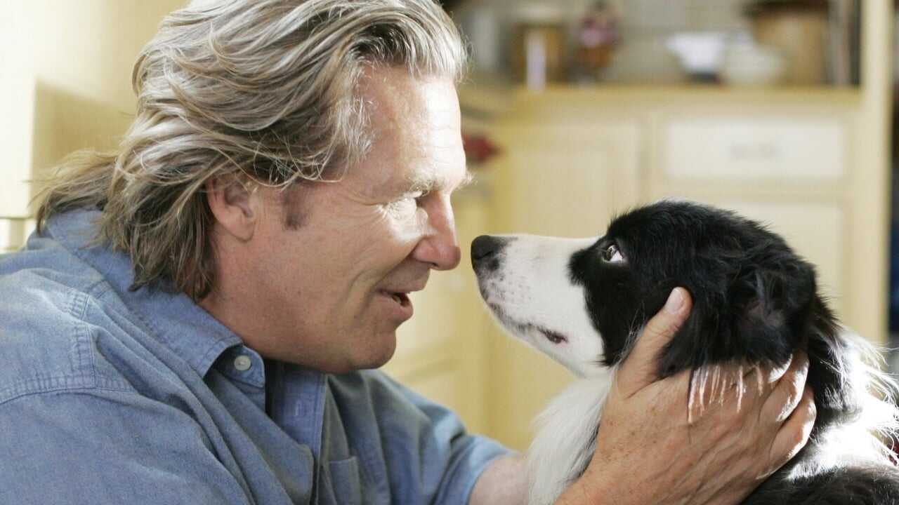 A Dog Year 0