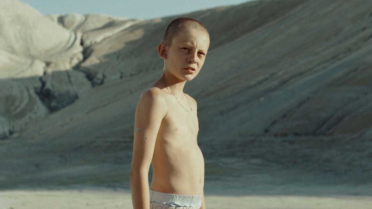 Fauve 0