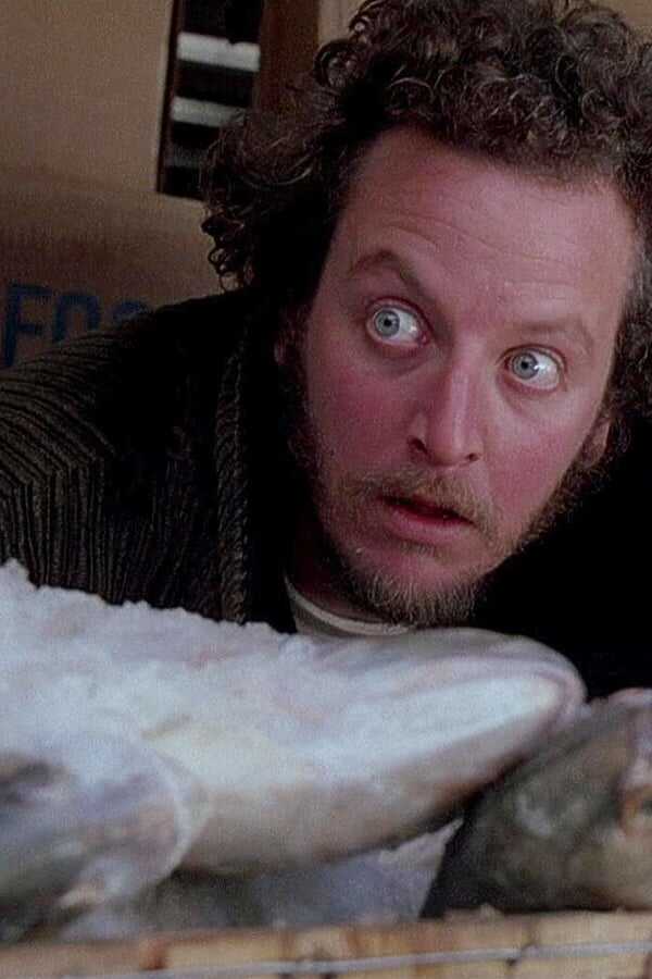 Home Alone 2: Lost in New York 0