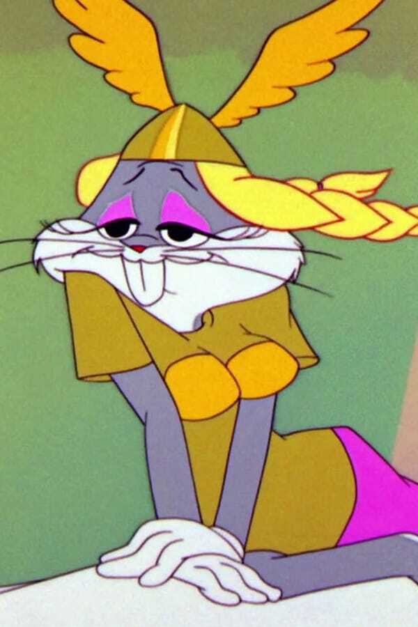 The Bugs Bunny Road Runner Movie 0