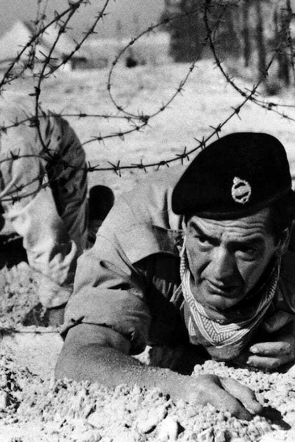 No Time To Die (1958) 0