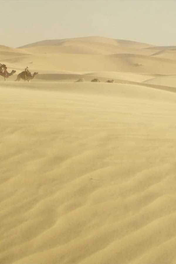 Queen of the Desert 0