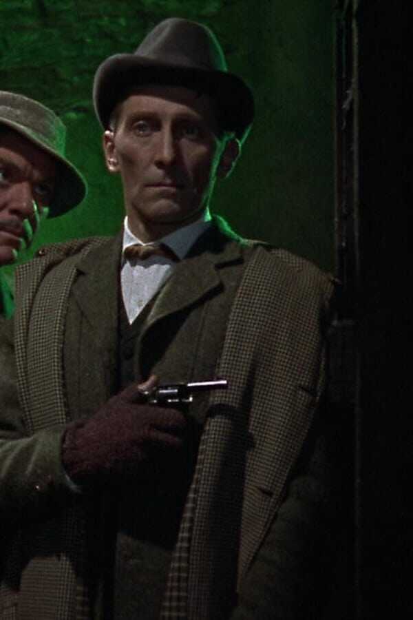 The Hound of the Baskervilles 0