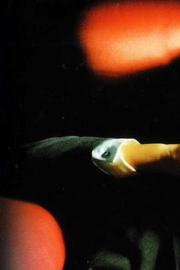 I cento passi (2000) 0