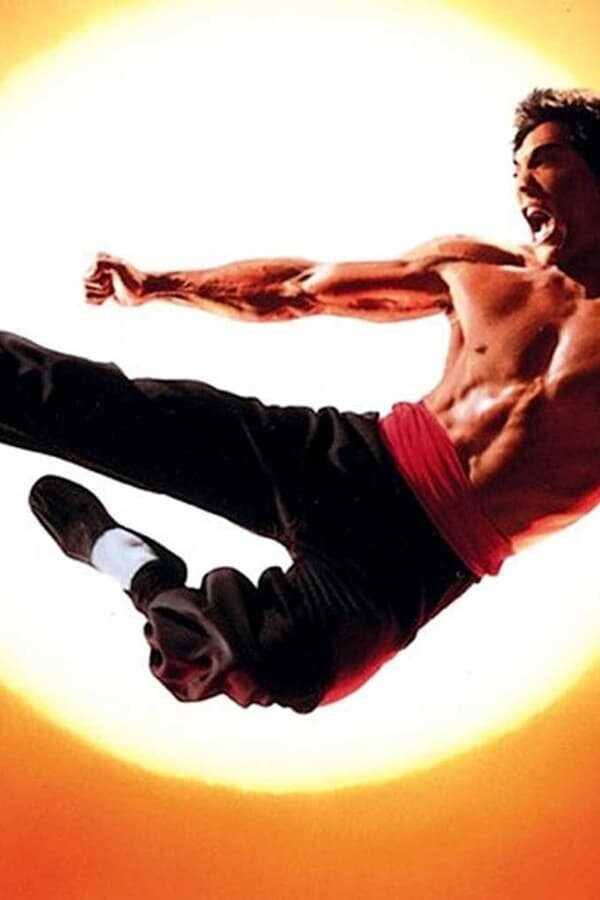 Dragon: The Bruce Lee Story 0