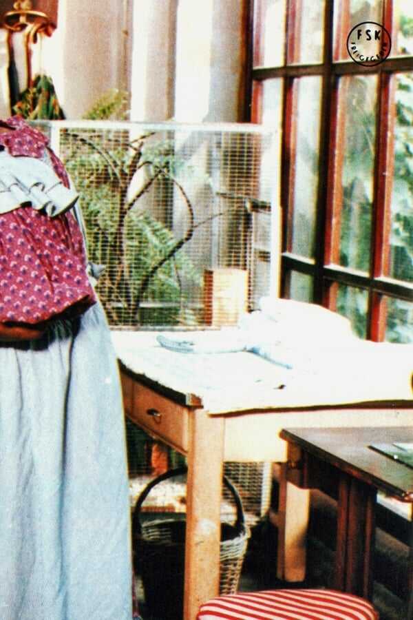 Il bisbetico domato (1980) 0