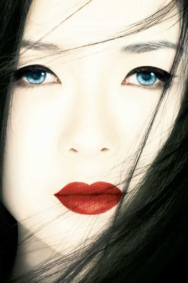 Memoirs of a Geisha 0