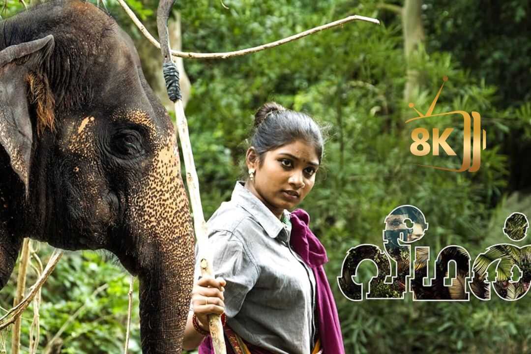 வீமன் 0