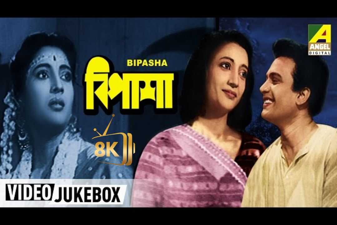 বিপাশা 0