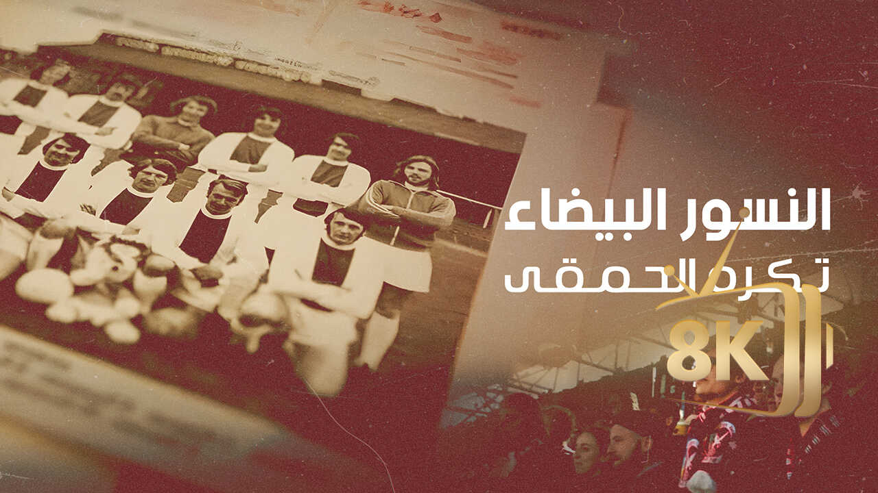 ‏النسور البيضاء تكره الحمقى 0