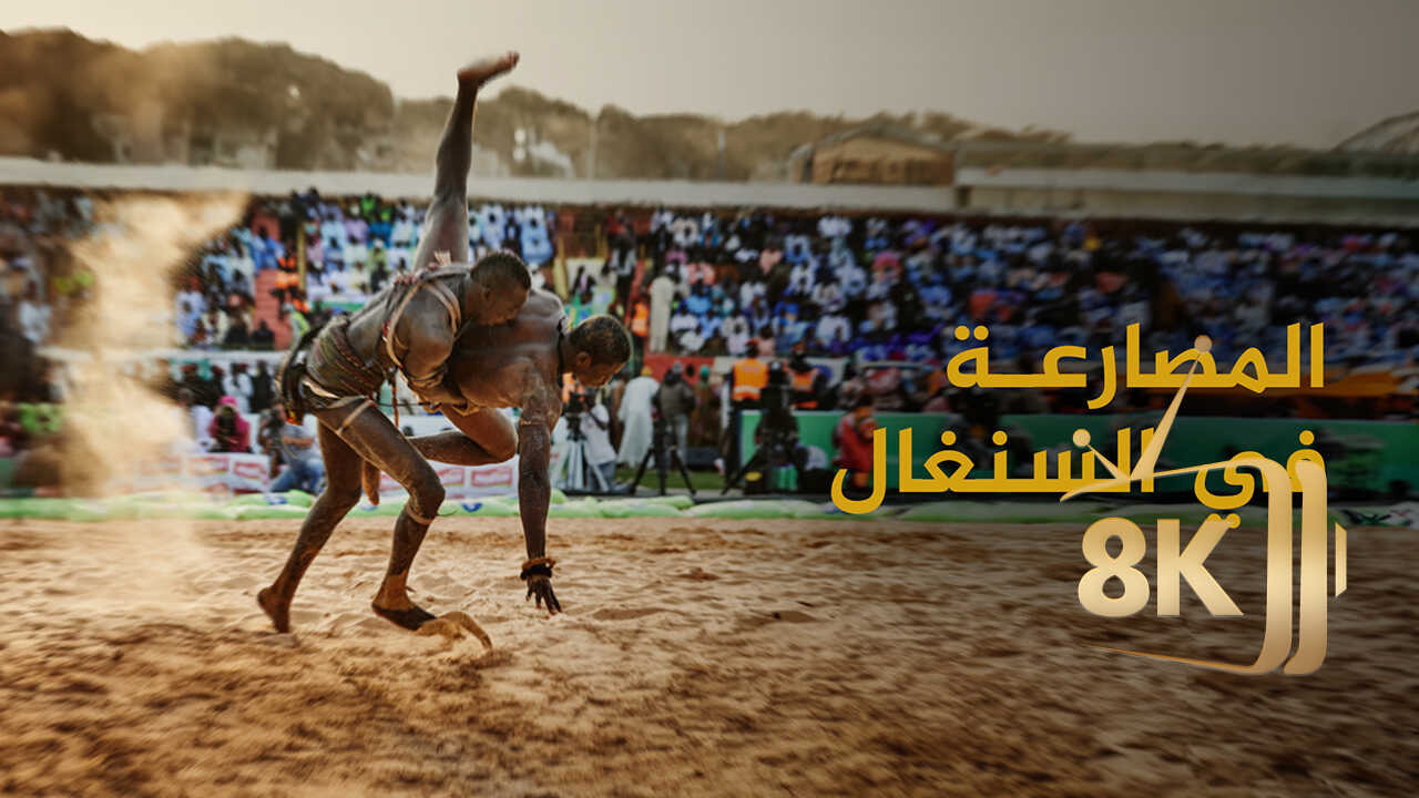 المصارعة في السنغال 0