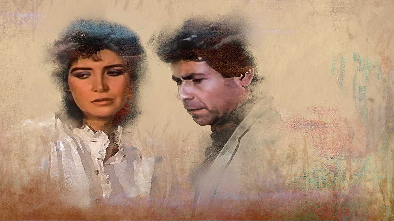 آسفة أرفض الطلاق (1980) 0