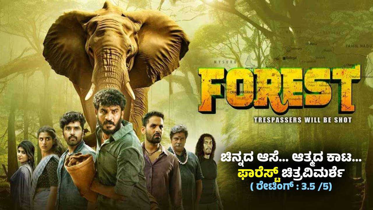Forest (2025) 0