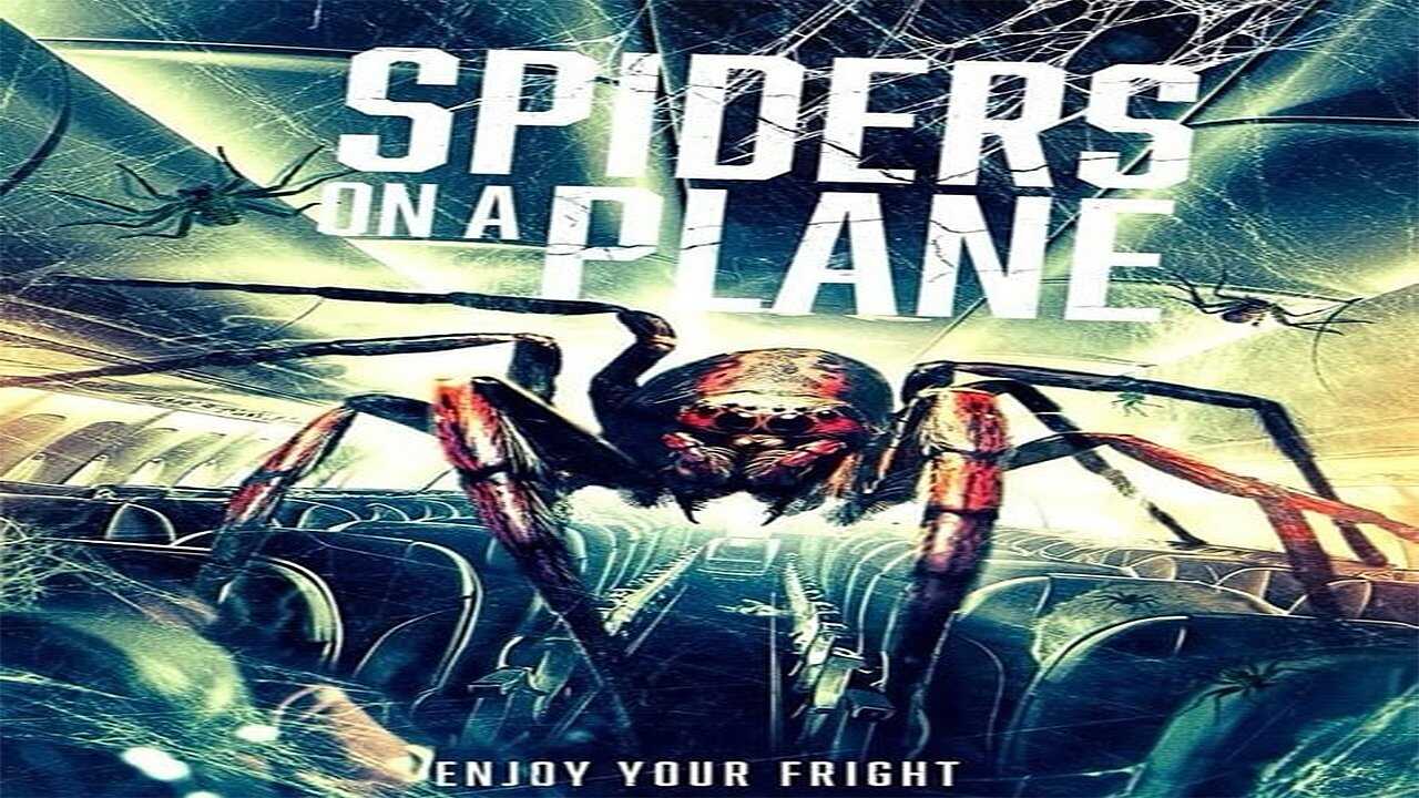 Spiders on a Plane (2024) 0