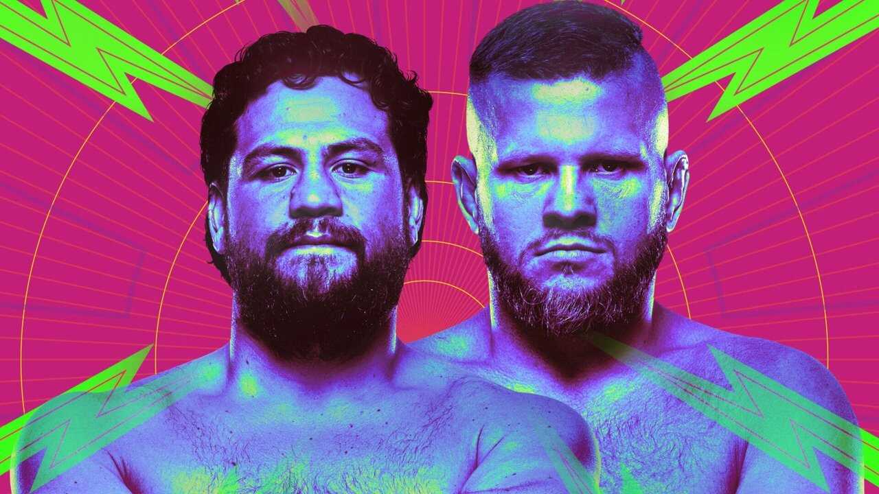 UFC Fight Night 239: Tuivasa vs. Tybura (2024) 0