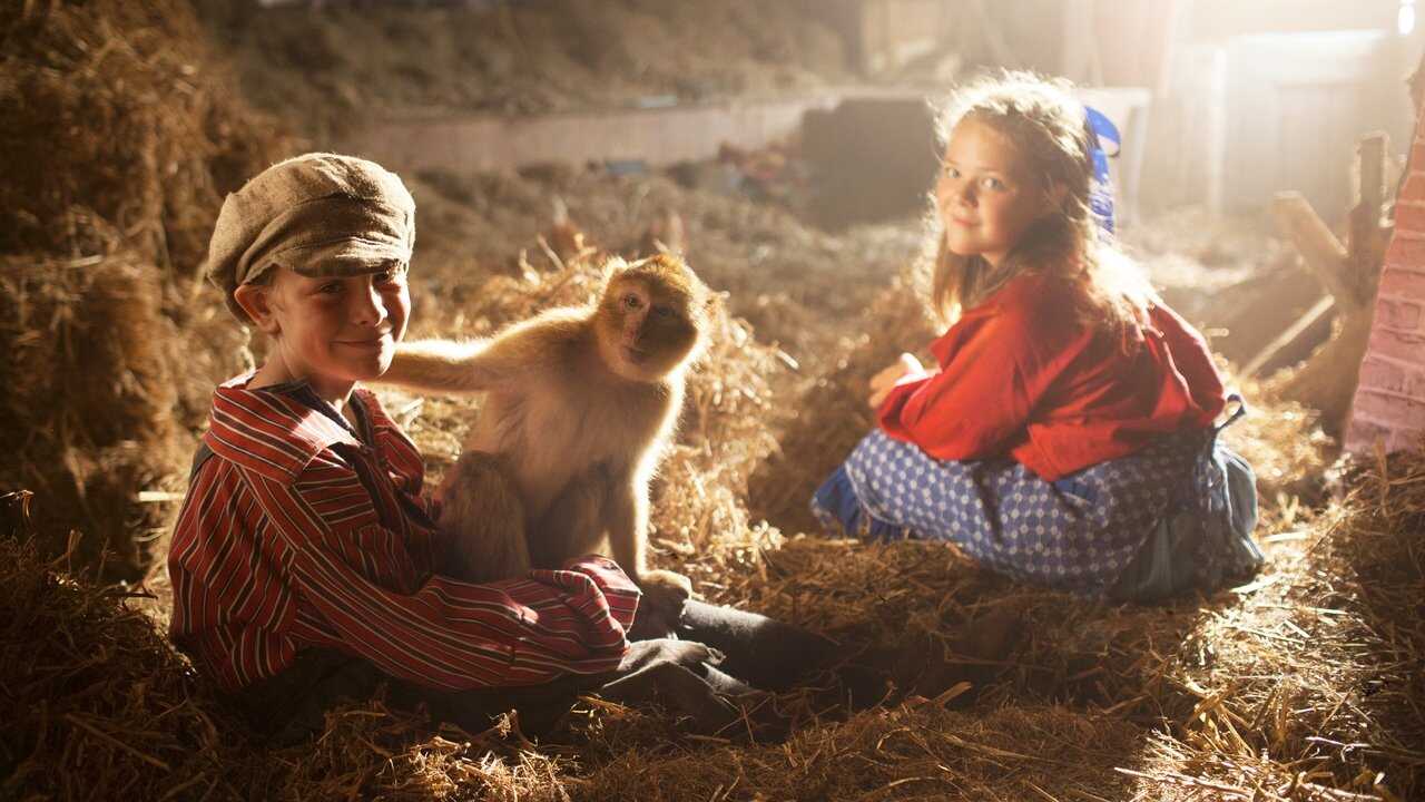 Monkey Business 0