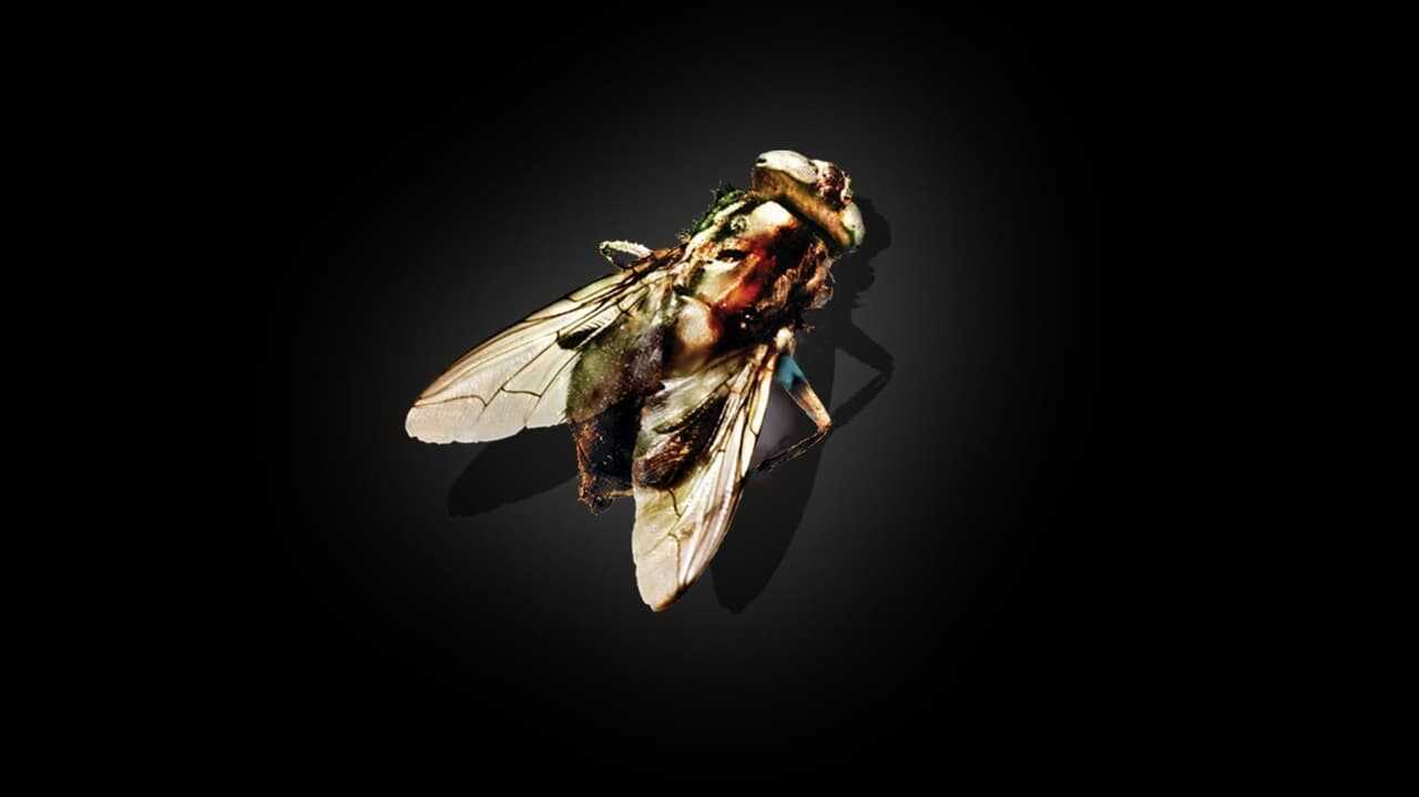 The Fly 0