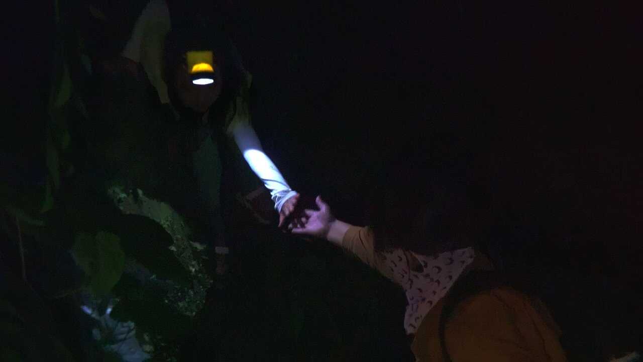 Beyond Utopia 0