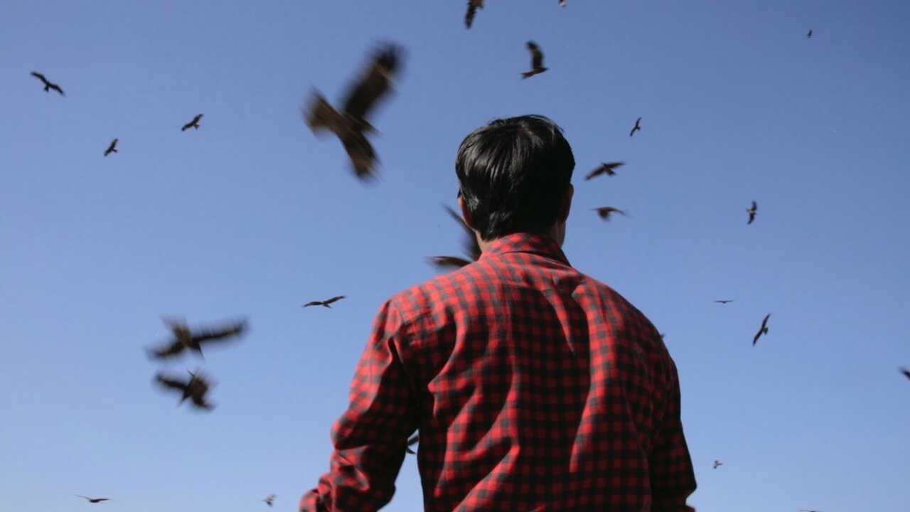 Junun 0