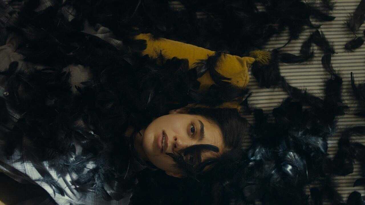 All the World Is Sleeping (2023) 0
