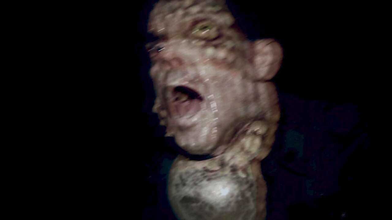 Frogman 0