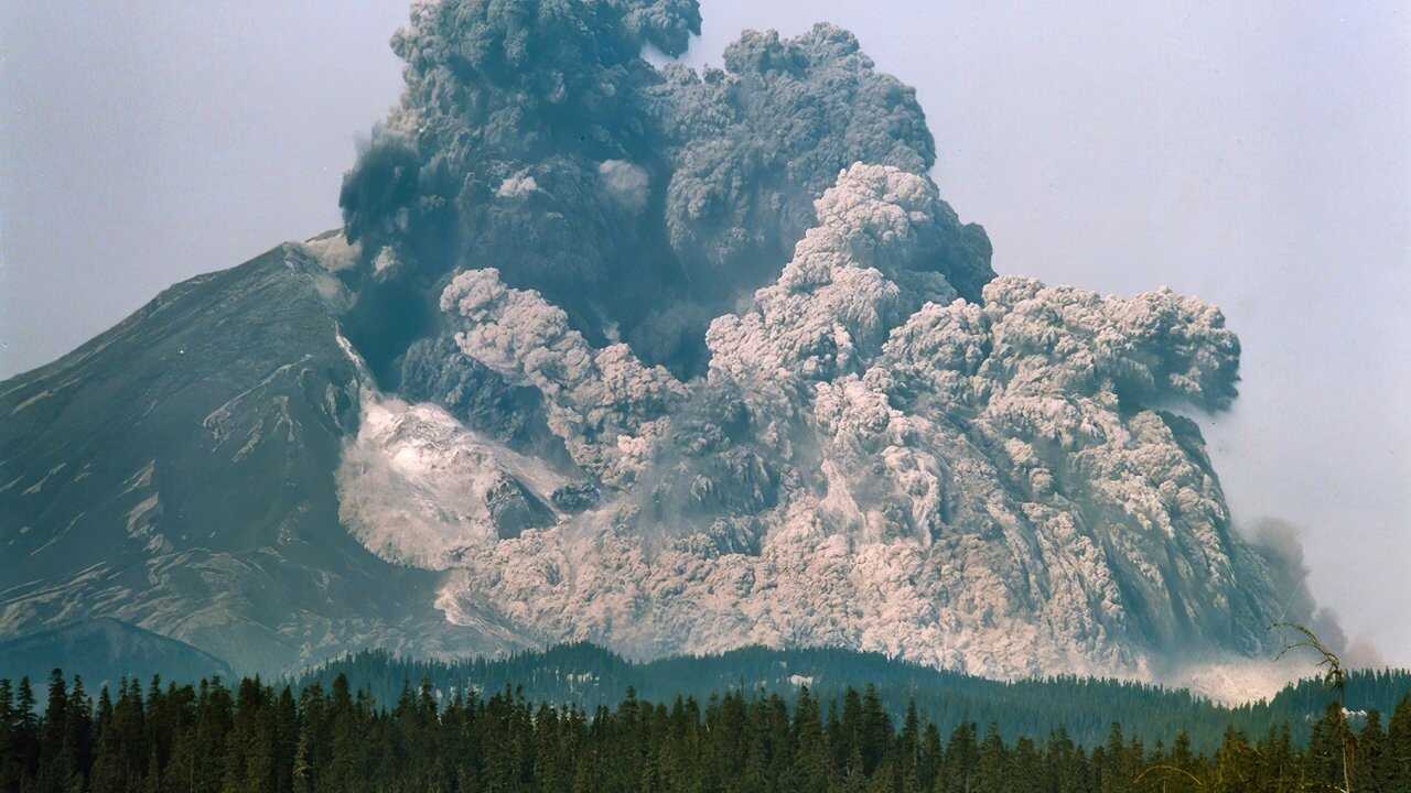 Surviving the Mount St. Helens Disaster 0