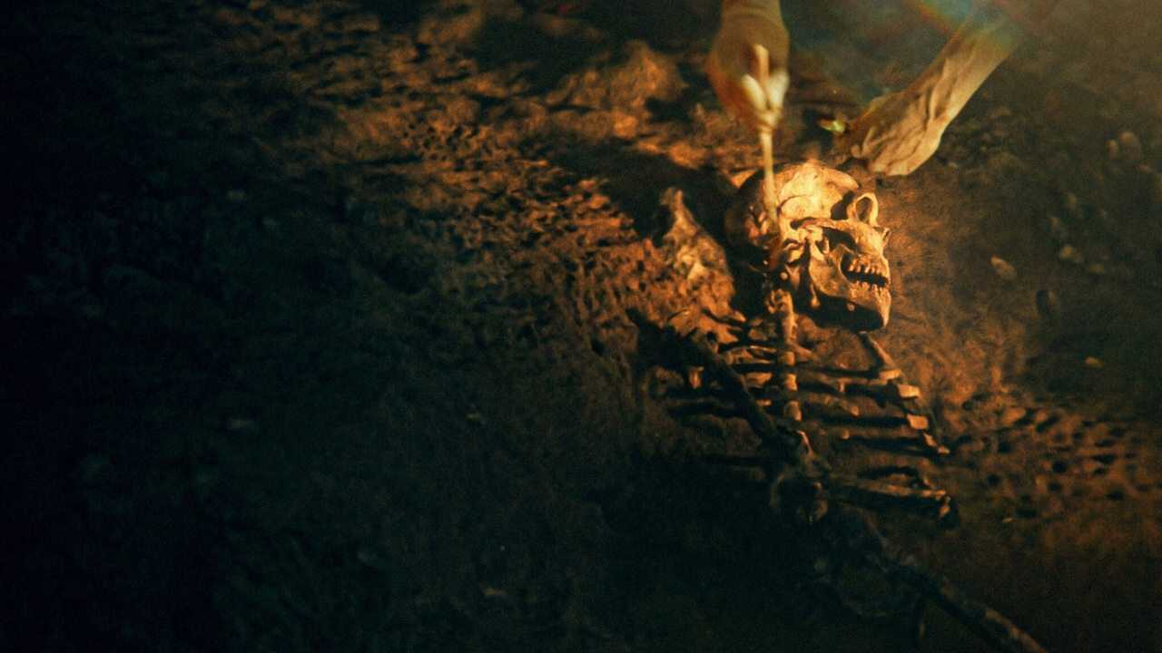 Secrets of the Neanderthals (2024) 0