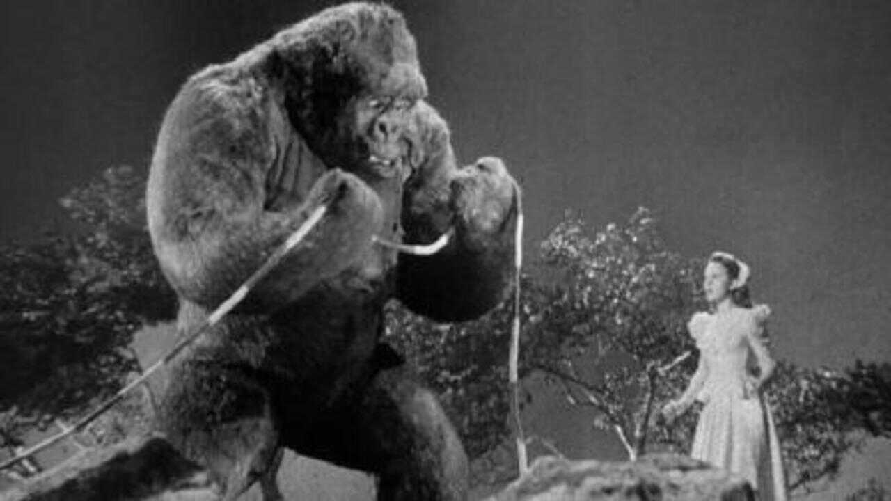 Panik um King Kong 0