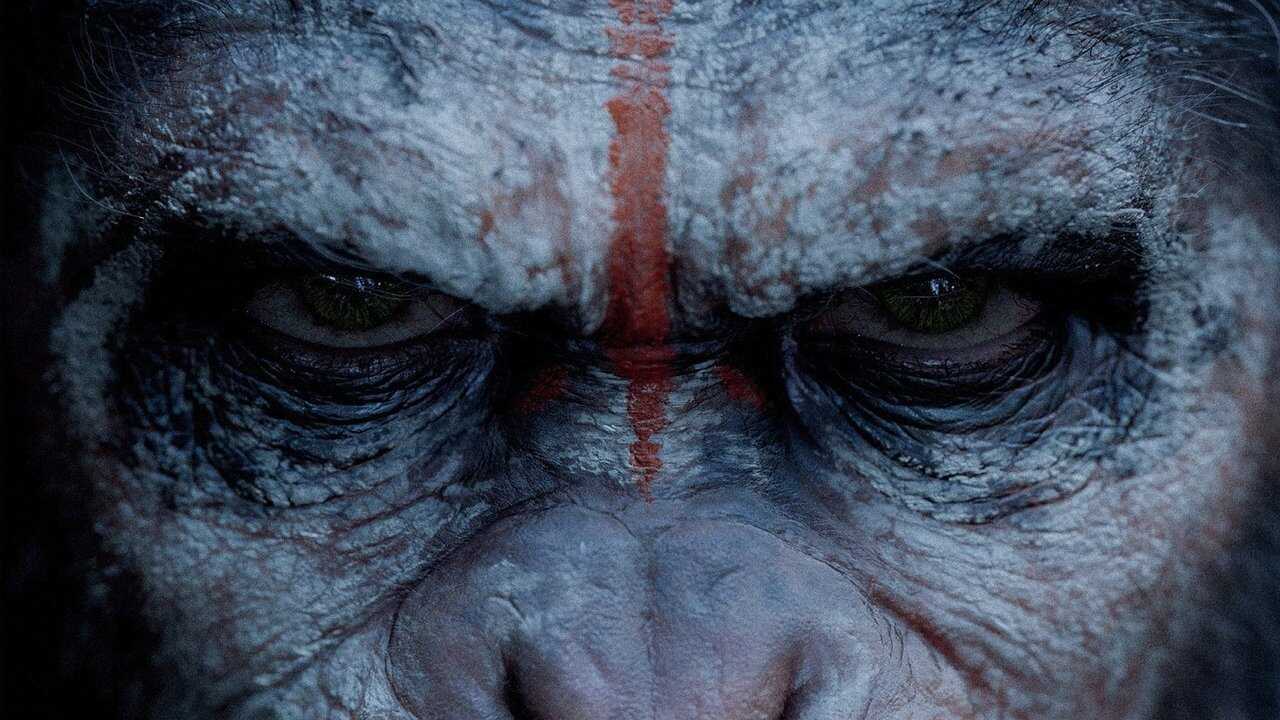 Dawn of the Planet of the Apes (2014) 0