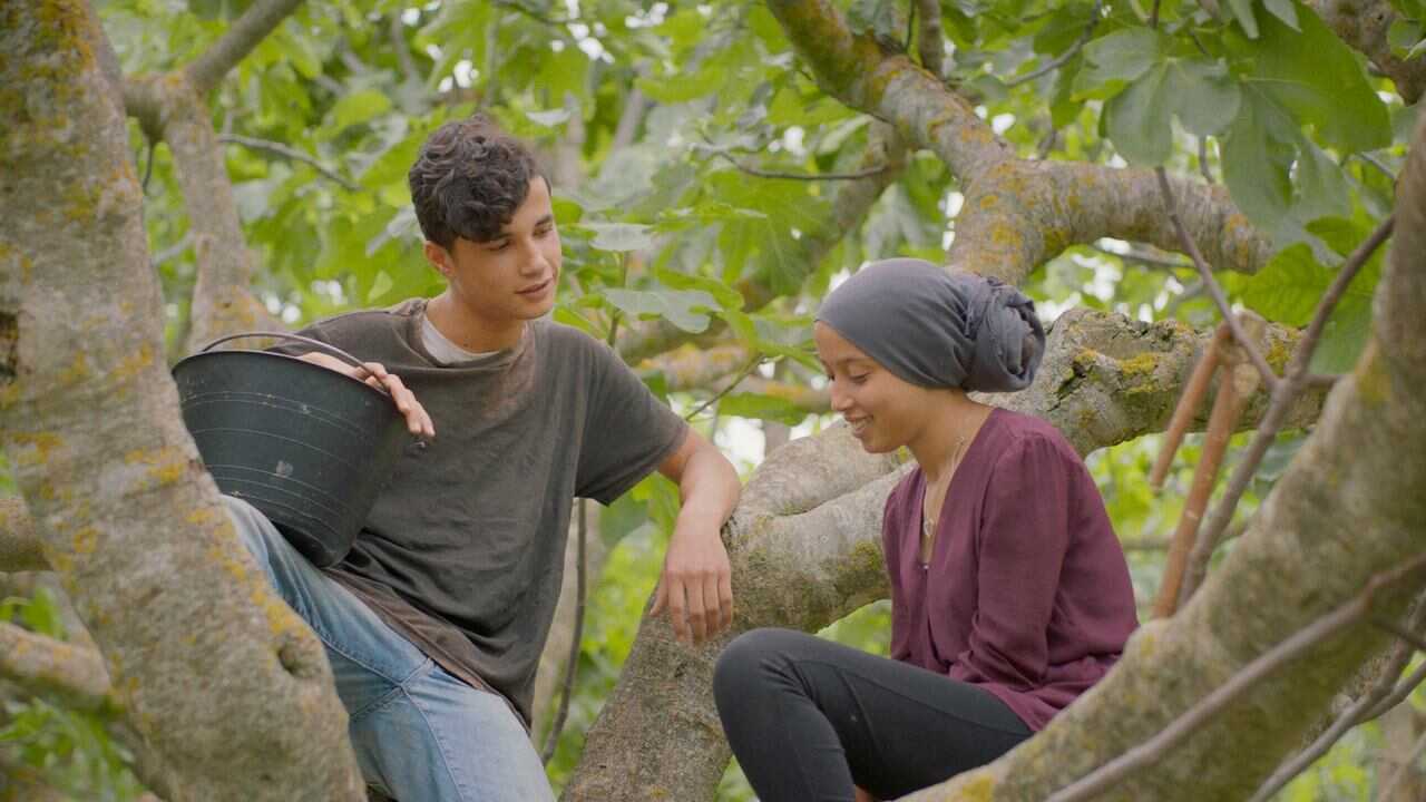 تحت الشجرة (2022) 0
