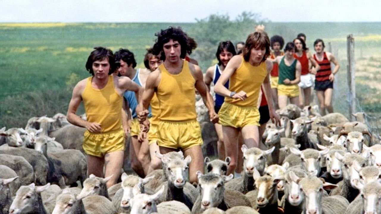 Les fous du stade 0