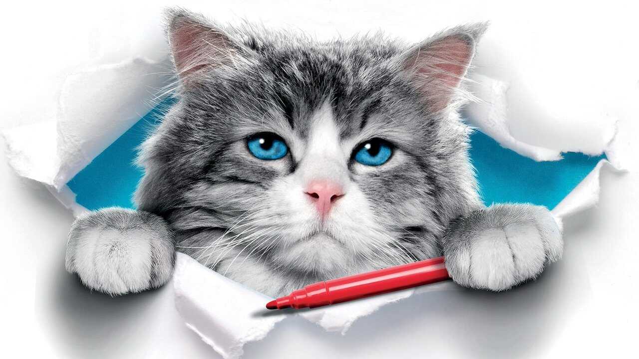 Nine Lives 0
