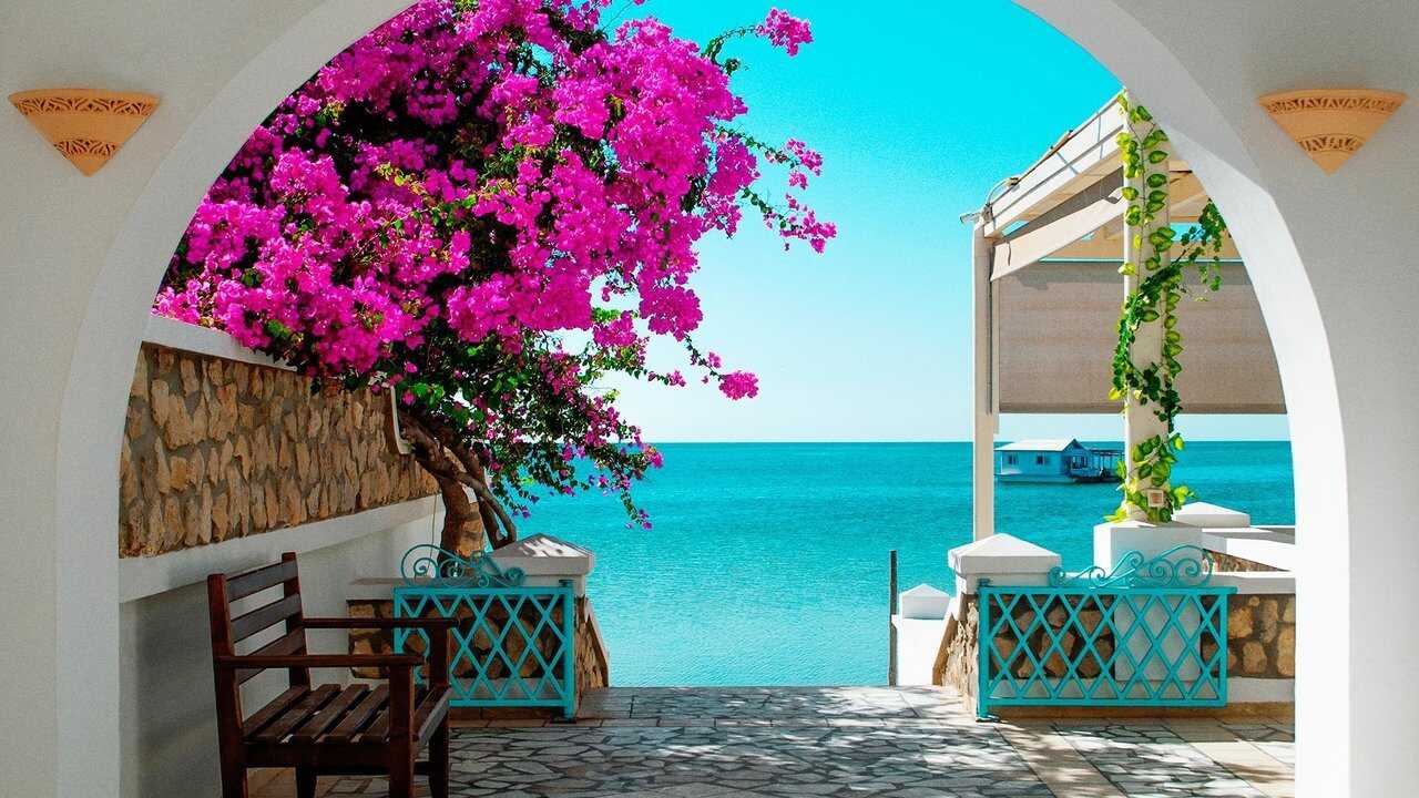 Tunisie, la belle de la Méditerranée (2022) 0