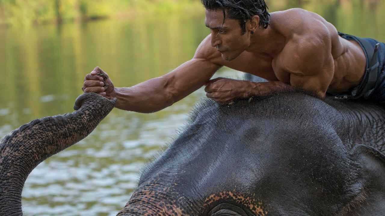 Junglee (2019) 0
