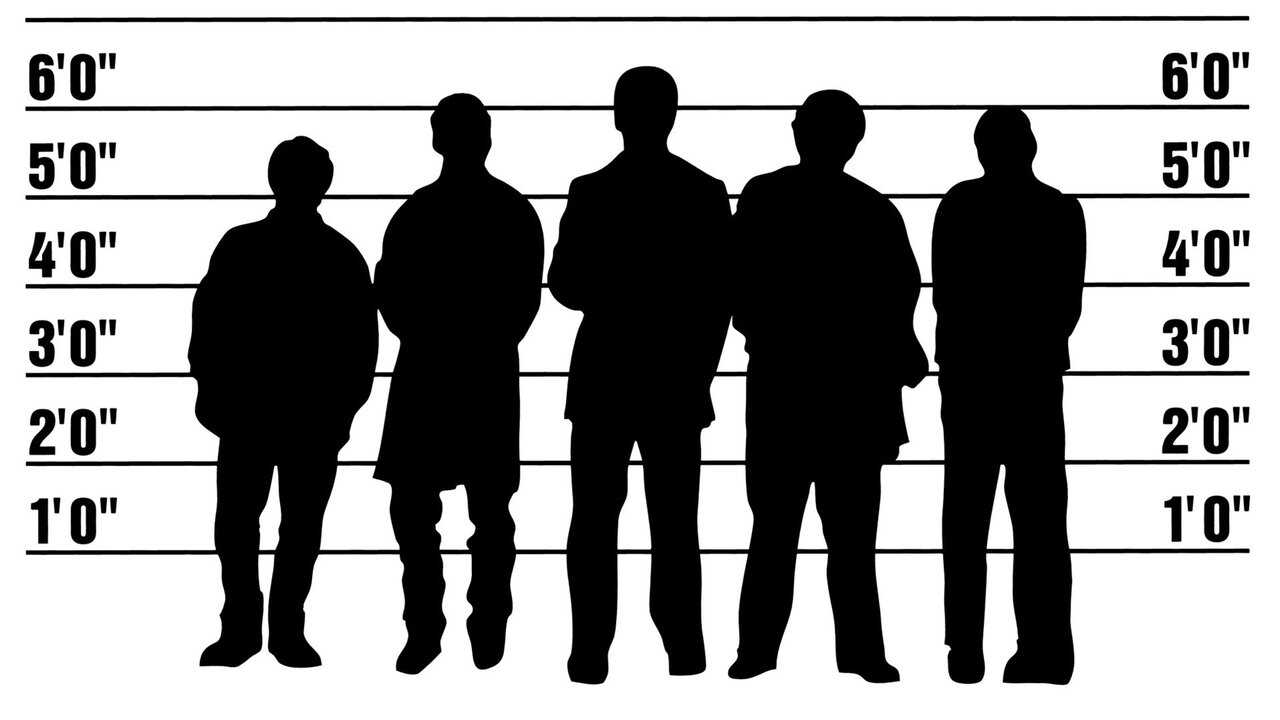 The Usual Suspects 0