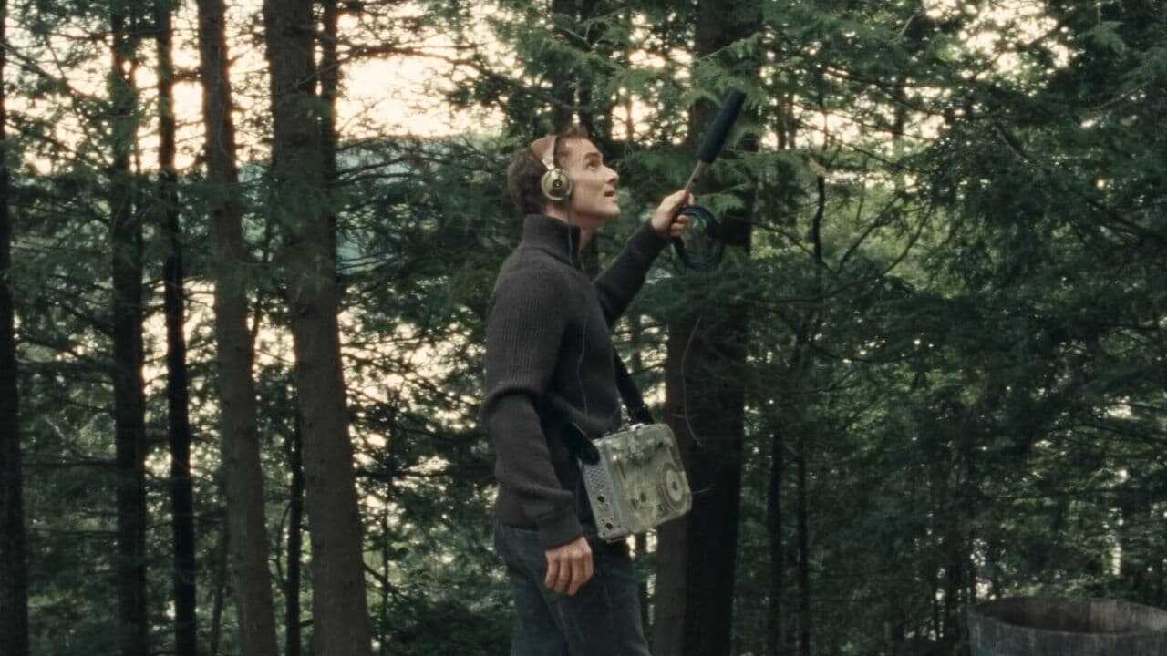 Allen Sunshine (2024) 0
